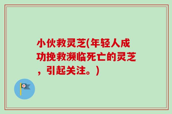 小伙救灵芝(年轻人成功挽救濒临死亡的灵芝，引起关注。)