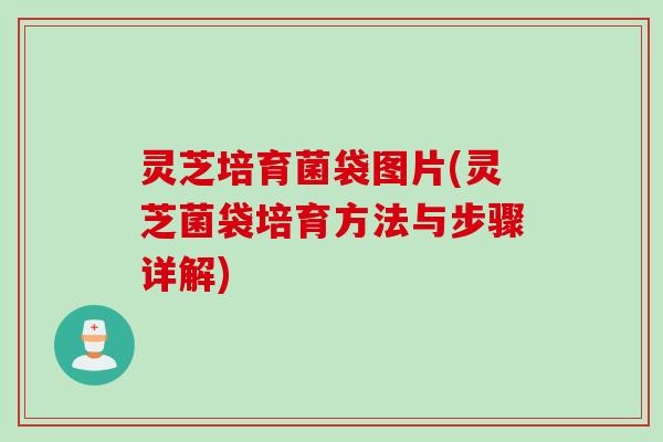 灵芝培育菌袋图片(灵芝菌袋培育方法与步骤详解)