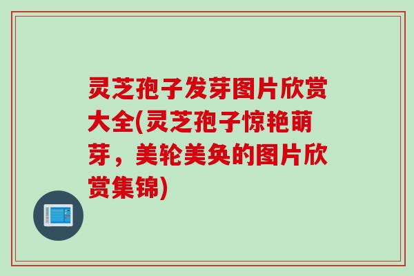 灵芝孢子发芽图片欣赏大全(灵芝孢子惊艳萌芽，美轮美奂的图片欣赏集锦)
