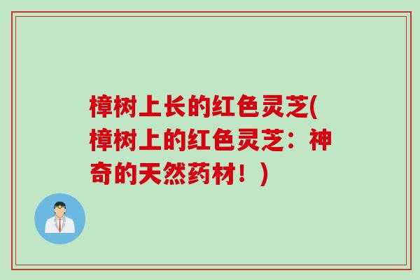 樟树上长的红色灵芝(樟树上的红色灵芝：神奇的天然药材！)