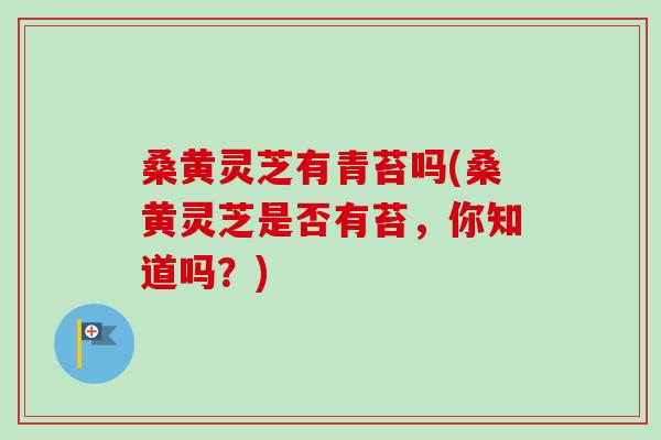 桑黄灵芝有青苔吗(桑黄灵芝是否有苔，你知道吗？)