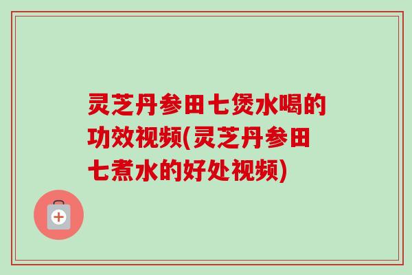灵芝丹参田七煲水喝的功效视频(灵芝丹参田七煮水的好处视频)