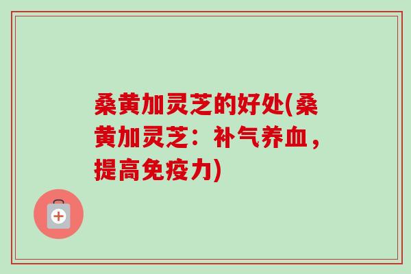 桑黄加灵芝的好处(桑黄加灵芝：补气养血，提高免疫力)
