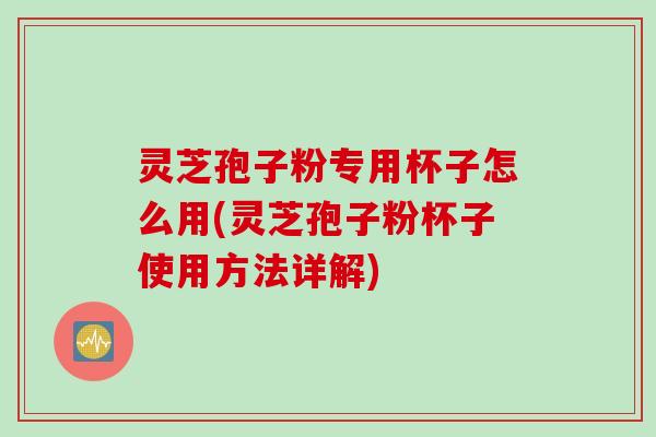 灵芝孢子粉专用杯子怎么用(灵芝孢子粉杯子使用方法详解)