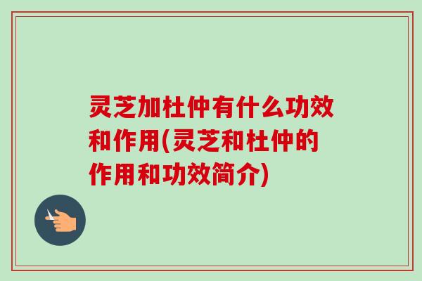 灵芝加杜仲有什么功效和作用(灵芝和杜仲的作用和功效简介)