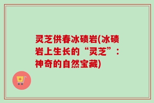 灵芝供春冰碛岩(冰碛岩上生长的“灵芝”：神奇的自然宝藏)