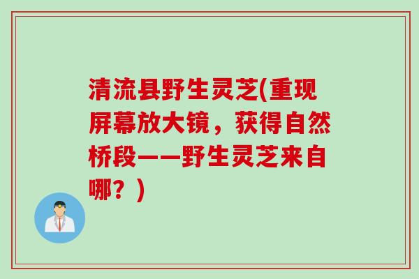 清流县野生灵芝(重现屏幕放大镜，获得自然桥段——野生灵芝来自哪？)