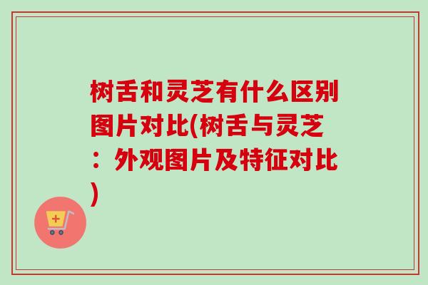 树舌和灵芝有什么区别图片对比(树舌与灵芝:外观图片及特征对比) 树舌和灵芝有什么区别图片对比(树舌与灵芝:外观图片及特征对比)