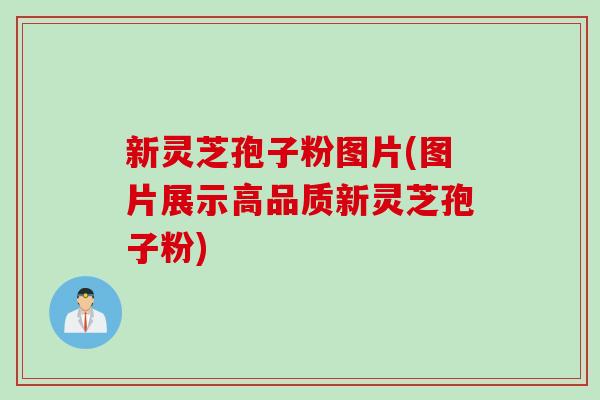 新灵芝孢子粉图片(图片展示高品质新灵芝孢子粉) 新灵芝孢子粉图片(图片展示高品质新灵芝孢子粉)