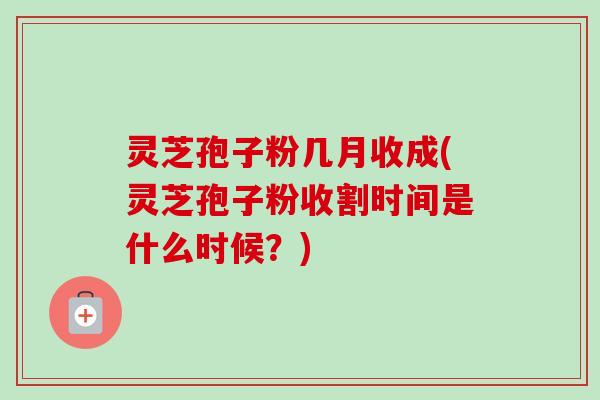 灵芝孢子粉几月收成(灵芝孢子粉收割时间是什么时候？)
