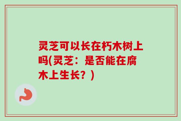 灵芝可以长在朽木树上吗(灵芝：是否能在腐木上生长？)