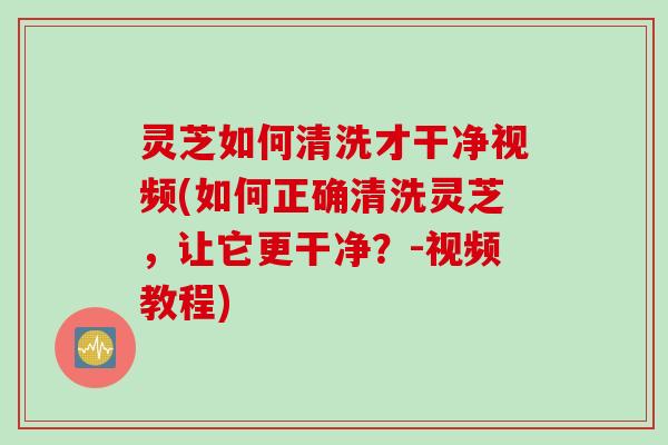 灵芝如何清洗才干净视频(如何正确清洗灵芝，让它更干净？-视频教程)