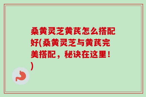 桑黄灵芝黄芪怎么搭配好(桑黄灵芝与黄芪完美搭配，秘诀在这里！)