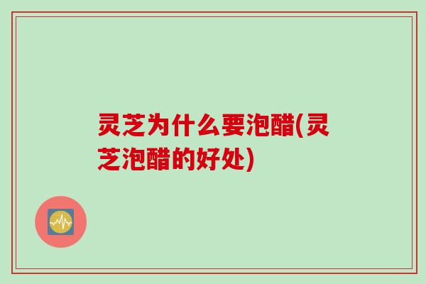灵芝为什么要泡醋(灵芝泡醋的好处) 灵芝为什么要泡醋(灵芝泡醋的好处)