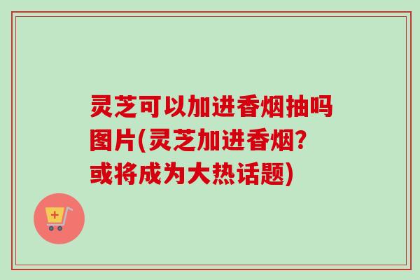 灵芝可以加进香烟抽吗图片(灵芝加进香烟？或将成为大热话题)