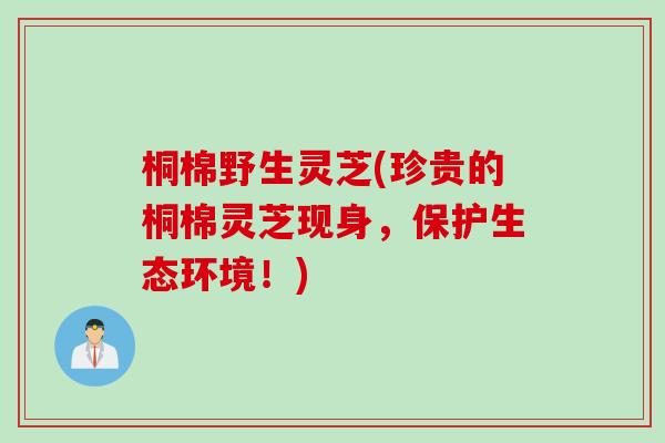 桐棉野生灵芝(珍贵的桐棉灵芝现身，保护生态环境！)