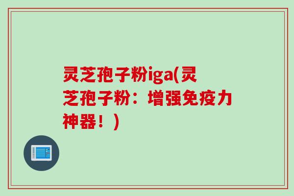 灵芝孢子粉iga(灵芝孢子粉：增强免疫力神器！)