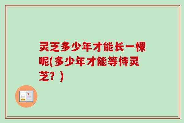 灵芝多少年才能长一棵呢(多少年才能等待灵芝？)