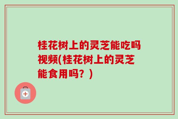 桂花树上的灵芝能吃吗视频(桂花树上的灵芝能食用吗？)