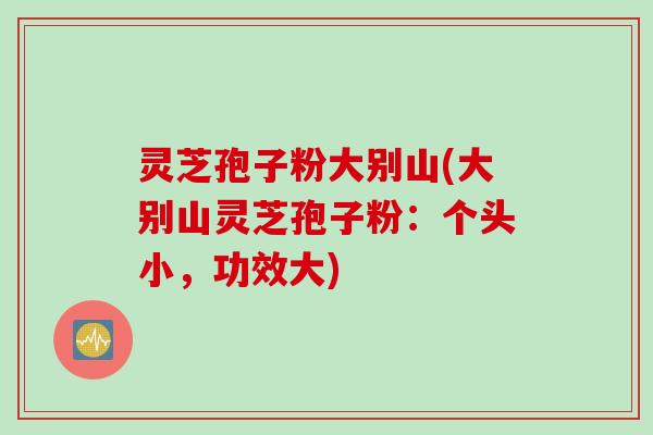 灵芝孢子粉大别山(大别山灵芝孢子粉：个头小，功效大)