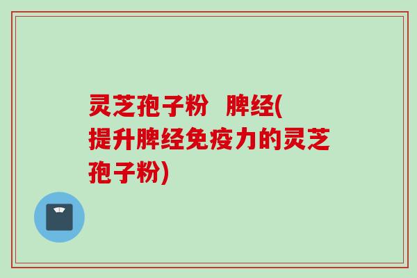 灵芝孢子粉  脾经(提升脾经免疫力的灵芝孢子粉)