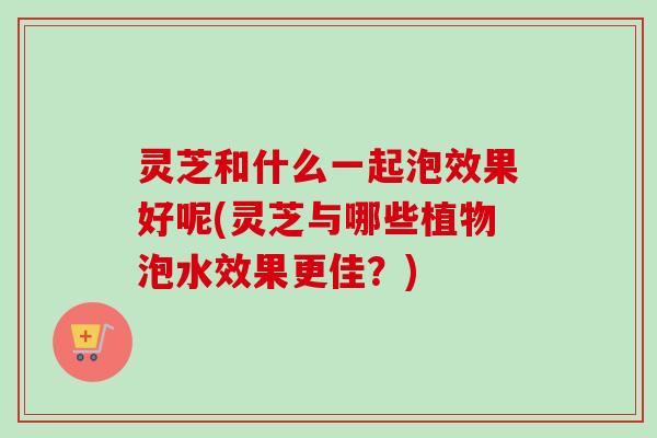 灵芝和什么一起泡效果好呢(灵芝与哪些植物泡水效果更佳？)