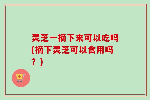 灵芝一摘下来可以吃吗(摘下灵芝可以食用吗？)
