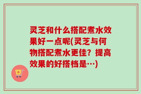 灵芝和什么搭配煮水效果好一点呢(灵芝与何物搭配煮水更佳？提高效果的好搭档是…)