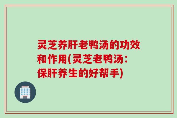 灵芝养老鸭汤的功效和作用(灵芝老鸭汤:养生的好帮手) 灵芝养老鸭汤的功效和作用(灵芝老鸭汤:养生的好帮手)
