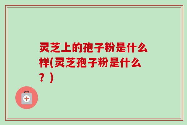 灵芝上的孢子粉是什么样(灵芝孢子粉是什么？)