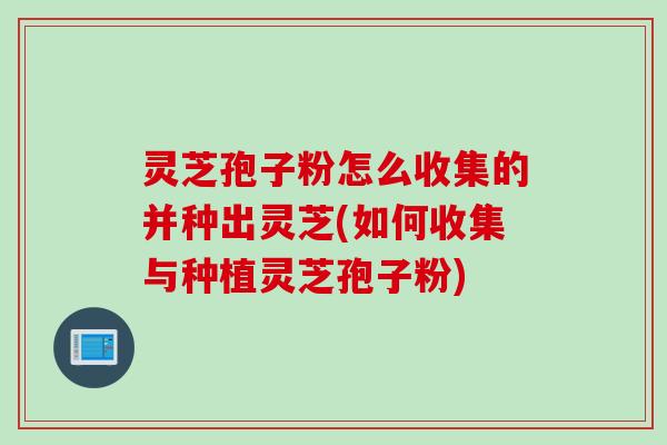 灵芝孢子粉怎么收集的并种出灵芝(如何收集与种植灵芝孢子粉)
