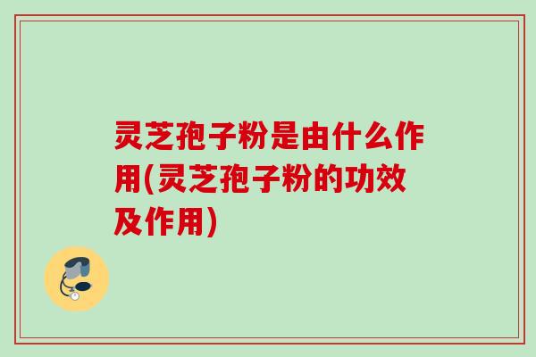 灵芝孢子粉是由什么作用(灵芝孢子粉的功效及作用)