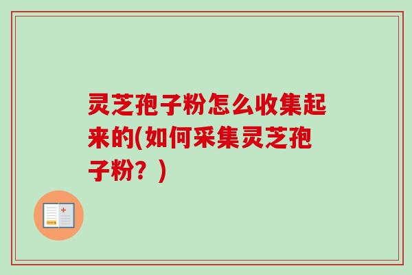 灵芝孢子粉怎么收集起来的(如何采集灵芝孢子粉？)