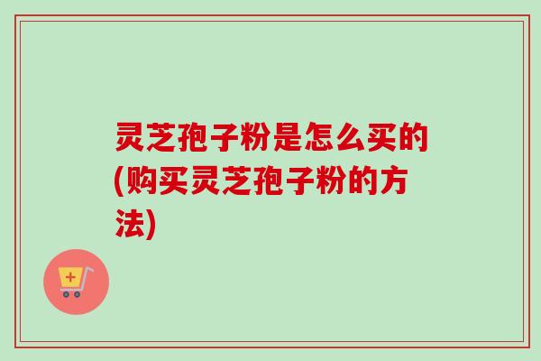 灵芝孢子粉是怎么买的(购买灵芝孢子粉的方法)