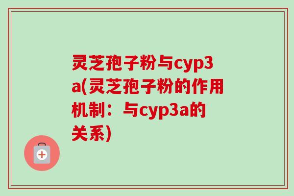 灵芝孢子粉与cyp3a(灵芝孢子粉的作用机制：与cyp3a的关系)