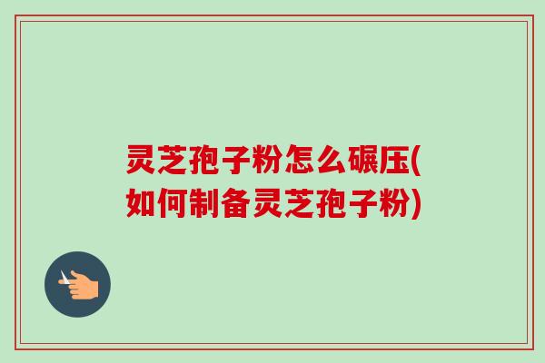 灵芝孢子粉怎么碾压(如何制备灵芝孢子粉)