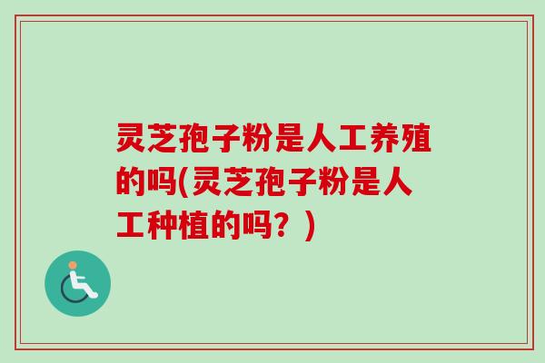 灵芝孢子粉是人工养殖的吗(灵芝孢子粉是人工种植的吗？)