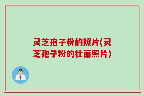 灵芝孢子粉的照片(灵芝孢子粉的壮丽照片)
