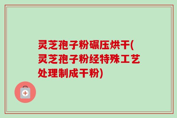 灵芝孢子粉碾压烘干(灵芝孢子粉经特殊工艺处理制成干粉)