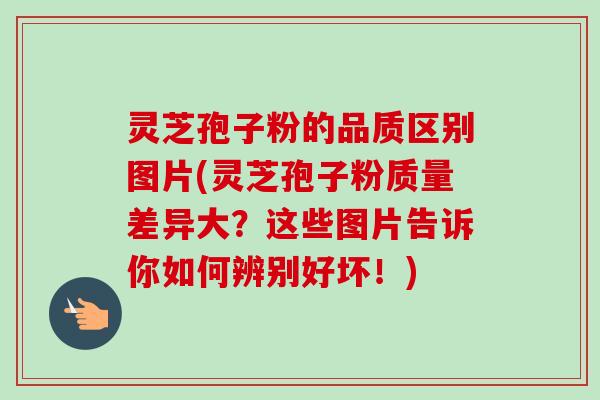 灵芝孢子粉的品质区别图片(灵芝孢子粉质量差异大？这些图片告诉你如何辨别好坏！)
