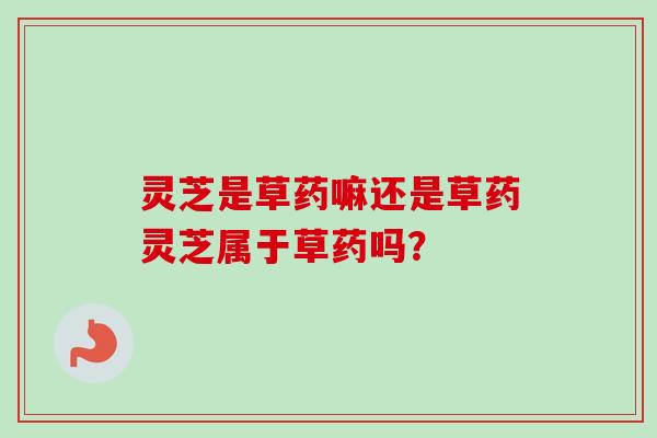 灵芝是草药嘛还是草药灵芝属于草药吗？
