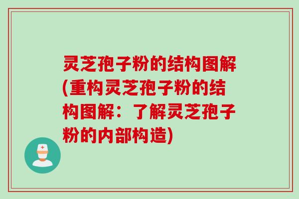 灵芝孢子粉的结构图解(重构灵芝孢子粉的结构图解:了解灵芝孢子粉的内部构造) 灵芝孢子粉的结构图解(重构灵芝孢子粉的结构图解:了解灵芝孢子粉的内部构造)