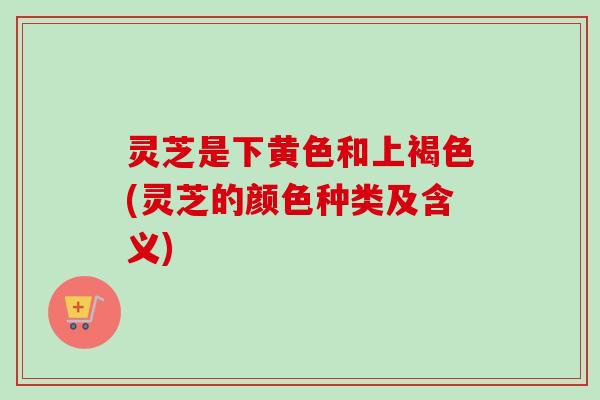 灵芝是下黄色和上褐色(灵芝的颜色种类及含义)