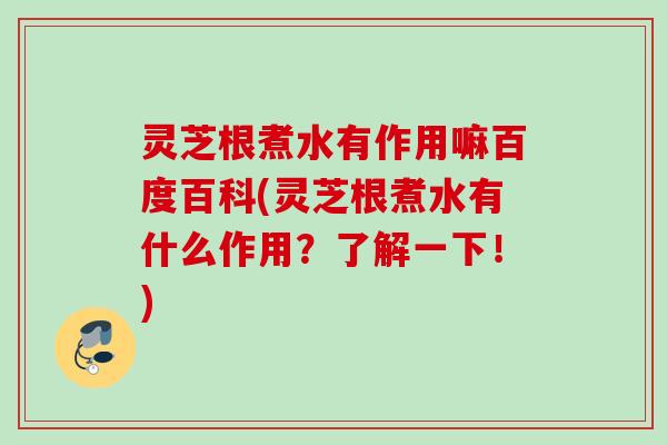 灵芝根煮水有作用嘛百度百科(灵芝根煮水有什么作用？了解一下！)