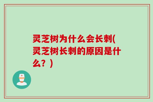 灵芝树为什么会长刺(灵芝树长刺的原因是什么？)