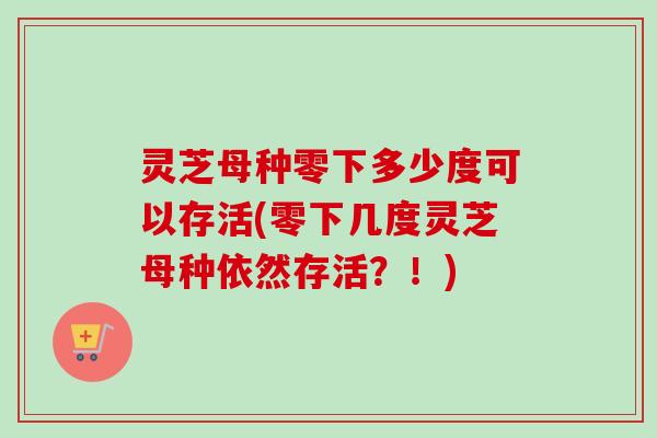 灵芝母种零下多少度可以存活(零下几度灵芝母种依然存活？！)