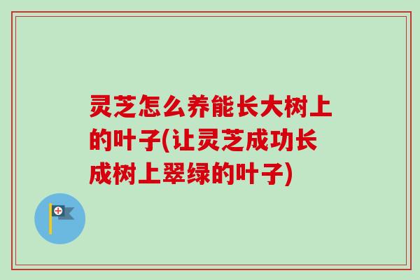 灵芝怎么养能长大树上的叶子(让灵芝成功长成树上翠绿的叶子)