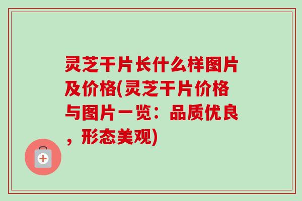 灵芝干片长什么样图片及价格(灵芝干片价格与图片一览：品质优良，形态美观)