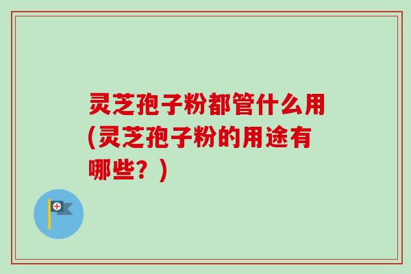 灵芝孢子粉都管什么用(灵芝孢子粉的用途有哪些？)