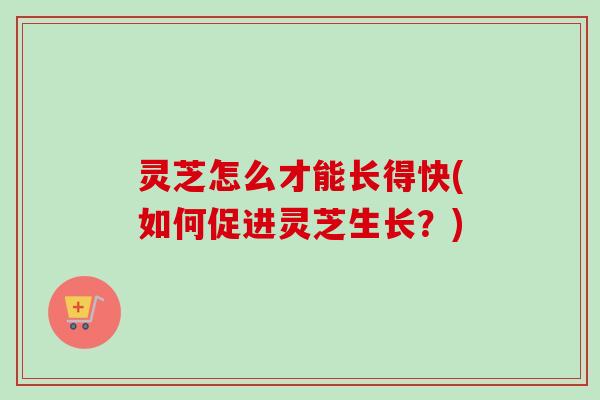 灵芝怎么才能长得快(如何促进灵芝生长？)